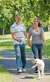 couple walking dog during summer