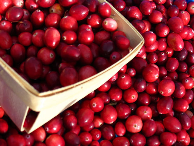 cranberry extract