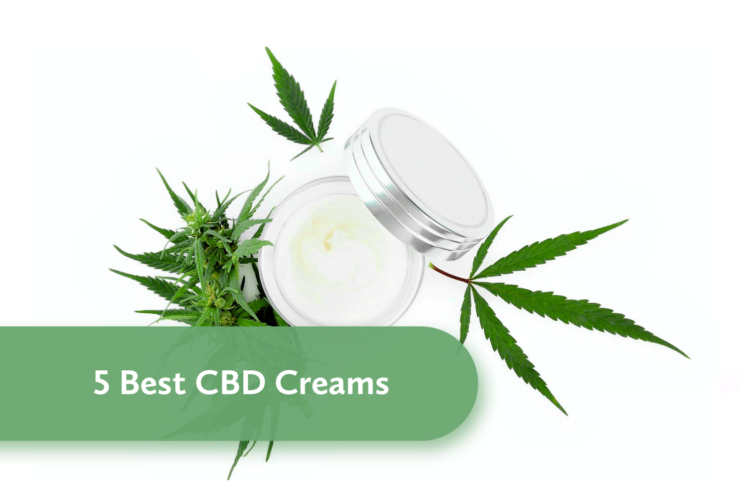 5 Best CBD Creams – NetWellness.org